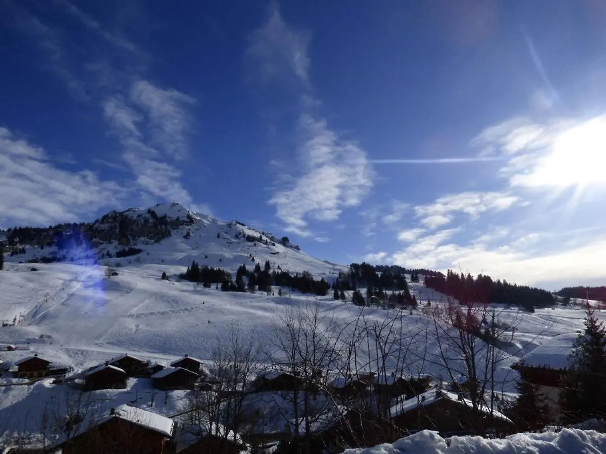 Appartamento Studio Le Grand-Bornand, 1 pièce, 4 personnes - FR-1-458-114 Francia