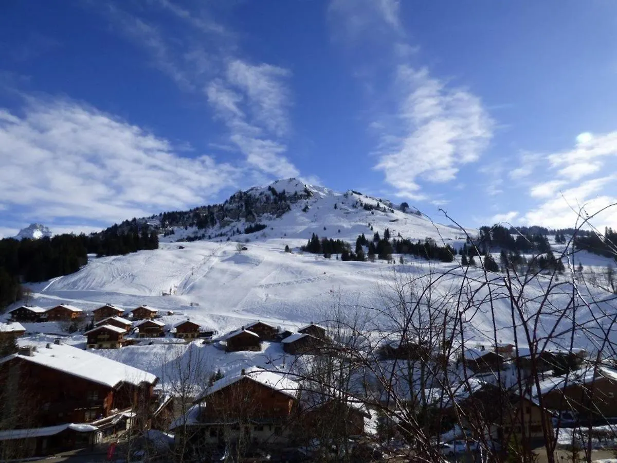 Appartamento Studio Le Grand-Bornand, 1 pièce, 4 personnes - FR-1-458-114